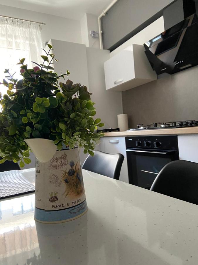 Qualis Apartament Braşov Dış mekan fotoğraf